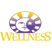 Wellness (美國)